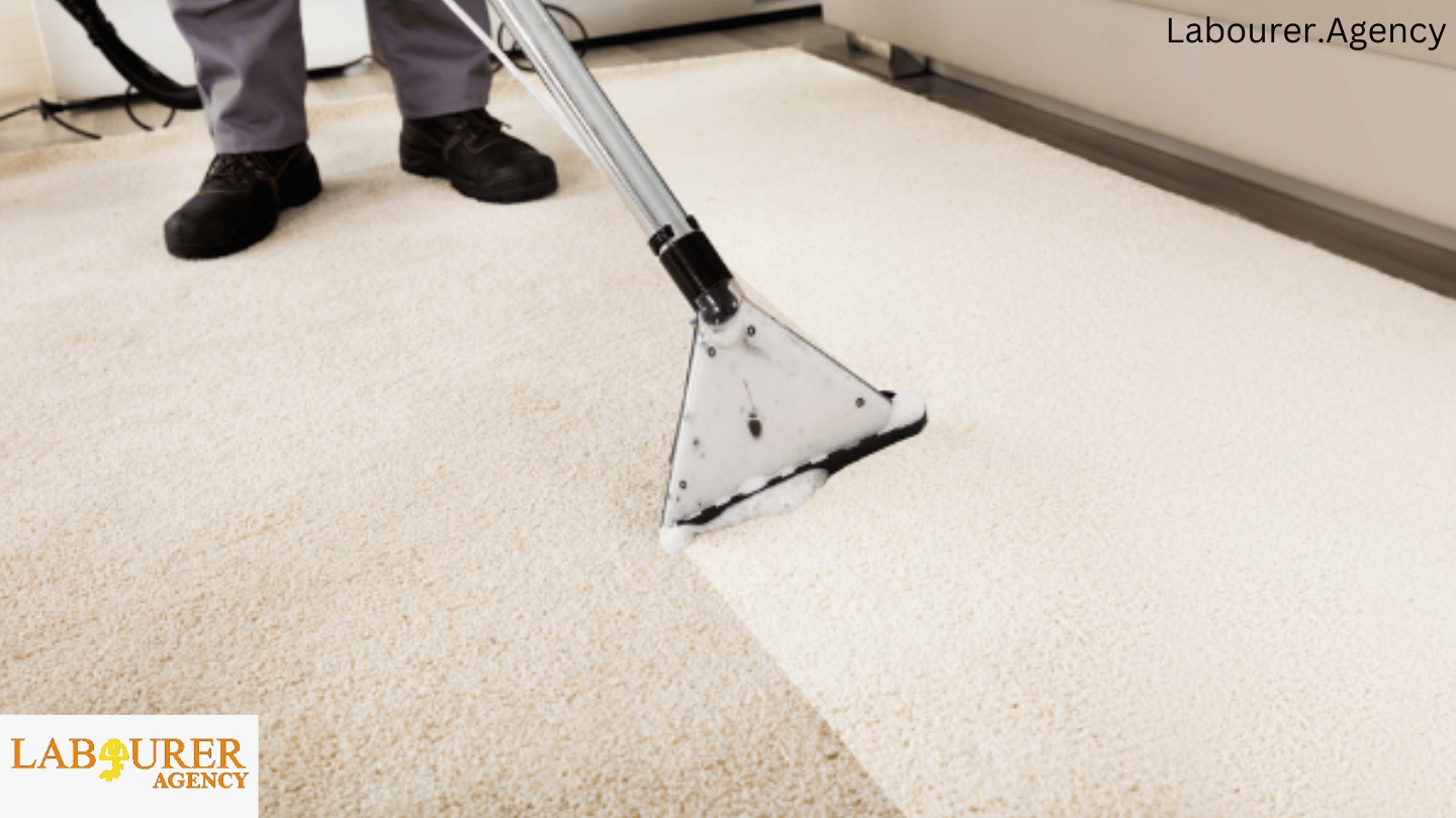 Team Labourer: Find CSCS Cleaner Jobs in Edge Hill